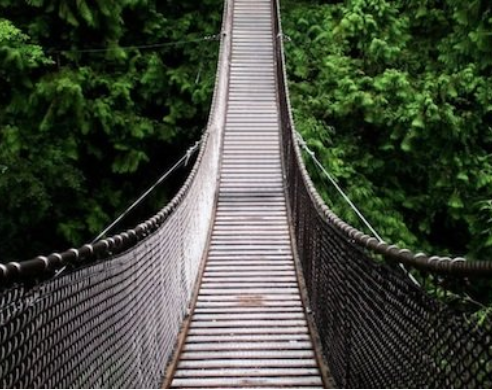 Forging a Path Forward: How to Design a Responsive Return Plan